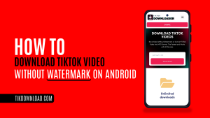 How to Download TikTok Video without Watermark on Android?