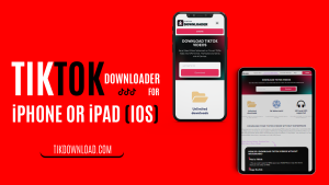 TikTok Downloader for iPhone or iPad (iOS)
