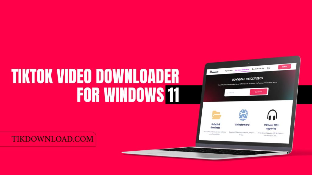 TikTok Video Downloader for Windows 11