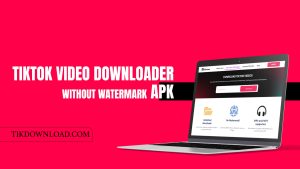 TikTok Video Downloader without Watermark APK