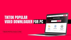 TikTok Popular Video Downloader for PC