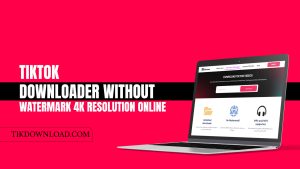 TikTok Downloader without Watermark 4k Resolution Online