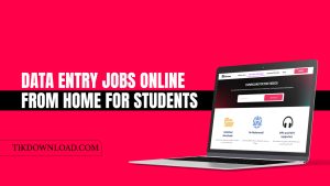 Data Entry Jobs Online from Home for Students