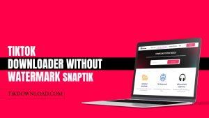 TikTok Downloader without Watermark SnapTik